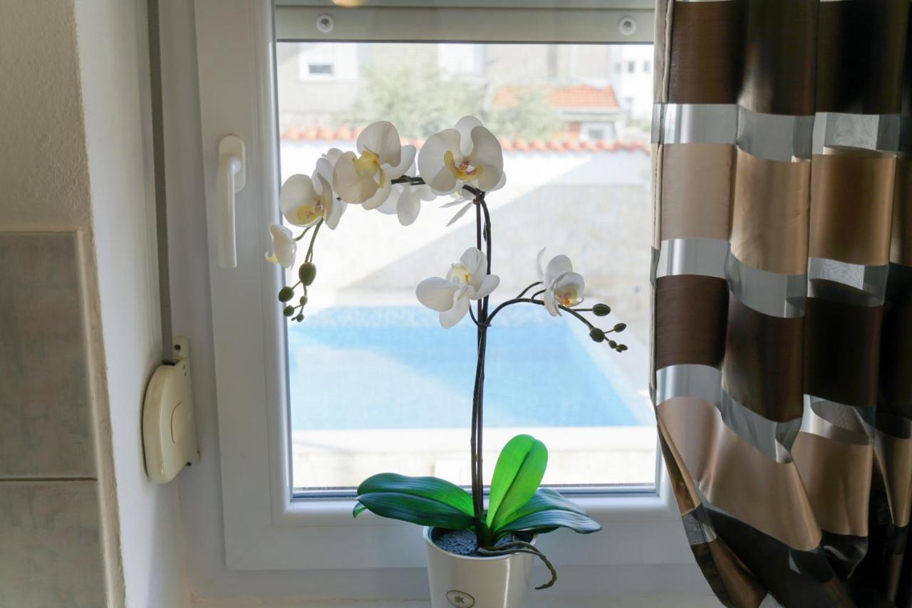 Villa Sanda With Private Pool Zadar Eksteriør billede
